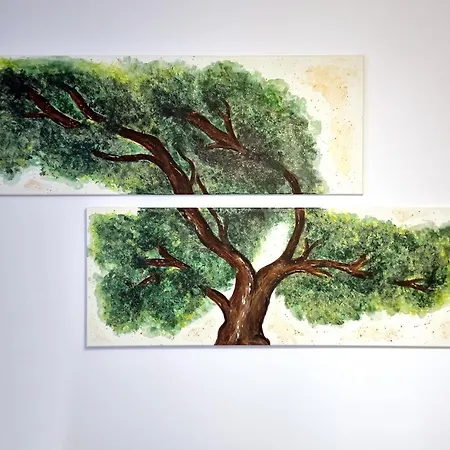 Classy アパート *