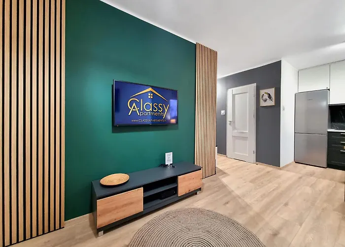 Classy Apartment